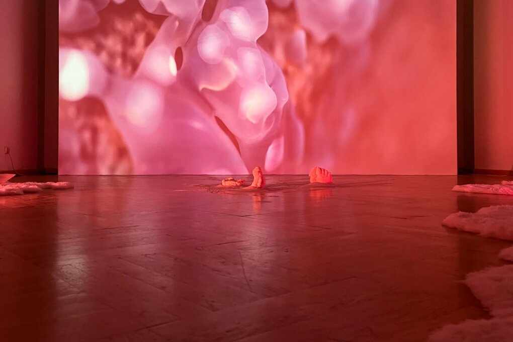 Patrícia Chamrazová: Resensing - Beyond Symbiosis